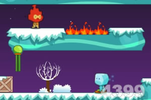 BOB·体育综合APP