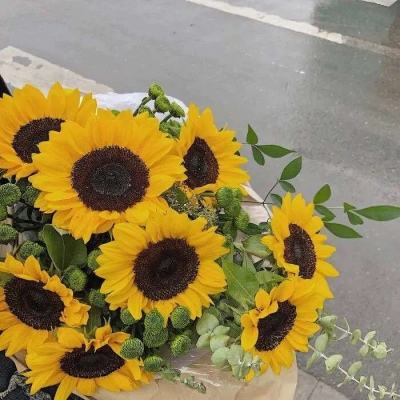 欢乐斗牛腾讯app下载