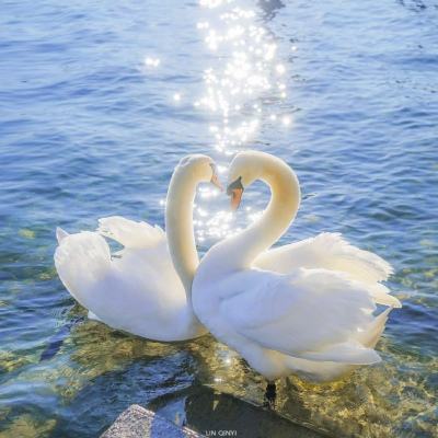 威斯尼斯wns888入口