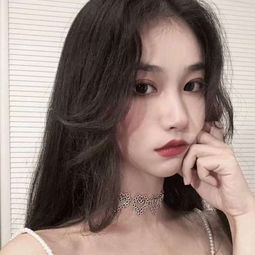 澳门2023全年免费资料大全手机app下载