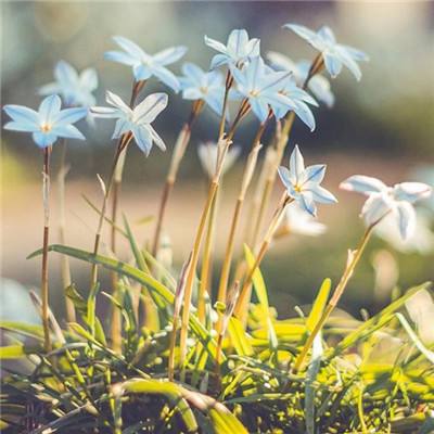 太阳集团娱乐官方网站下载