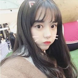 域网棋牌游戏下载手机版截图