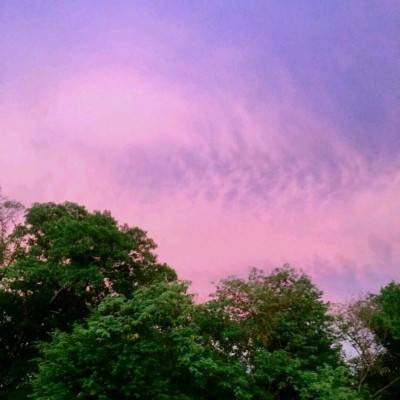 Kaiyun(云开)体育App下载手机版