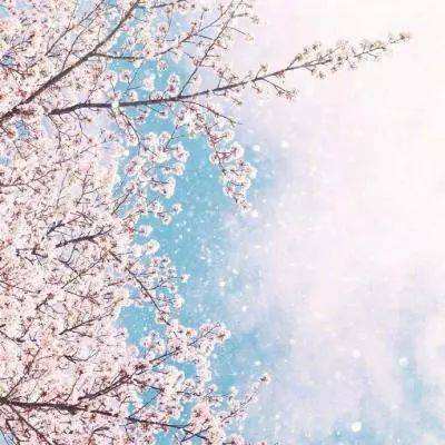 久游棋牌app下载