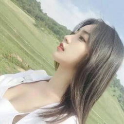 新澳门六开彩资料大全