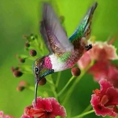 半岛综合app官网版登录