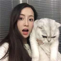 大发dafa888app下载