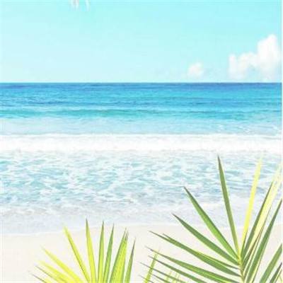 m6米乐官方入口app下载