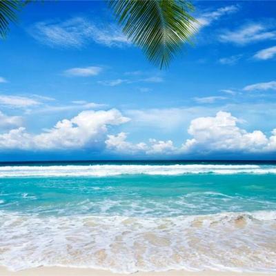 威斯尼斯wns888入口app