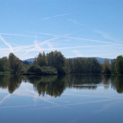 kok在线登陆官网