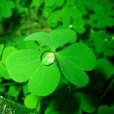 网络举报客户端