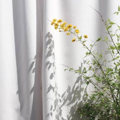 华体会登录手机版手机app下载