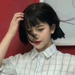 澳门·新甫京娱乐娱城