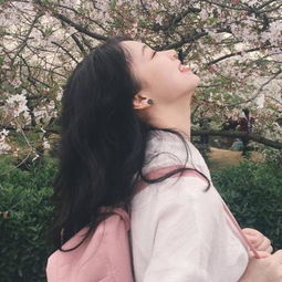 m6米乐官方入口app下载