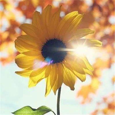 开元集团游戏网站app