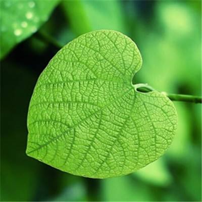 金年会体育APP下载官网