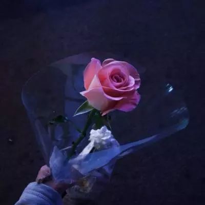 凤凰彩票appapp下载