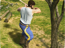 帝国权杖与文明