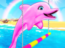 我的海豚表演