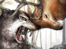 野生动物丛林法则