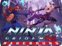 忍者外传：怒之羁绊