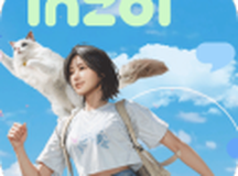 inZOI