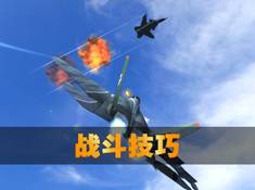 《空战争锋》歼-10A纪念版 蓝霹雳