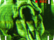 恐龙岛生存之夜手游