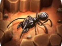 蚂蚁大冒险