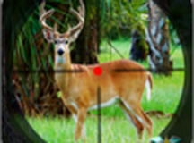 野生动物园猎鹿人