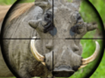 野性狩猎狙击手